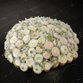 Cupcake fleurs